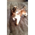 Vintage Capri Cocker Spaniel Porcelain Dog Figurine Ornament