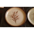 Vintage MCM Arita Country Kitchen Honey Wheat 2 Large Dinner Plates Japanese Stoneware