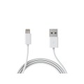 Car Charger & Lightning Cable | Apple
