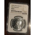 GRADED SILVER KRUGER RAND ( MS 69 )