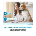 Anti-Bark Dog Training Collar - Sound & Vibration - Humane Barking Control