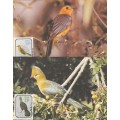 RSA      POST CARDS   BIRDS   UNUSED