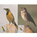 RSA      POST CARDS   BIRDS   UNUSED