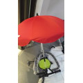 UV Protection Umbrella for babies , Install on Micro Trike / Bicycle/ Tricycle