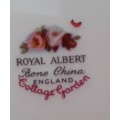 Royal  Albert    ``COTTAGE  GARDEN``   Dinner  Plate