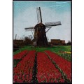 Netherlands 1983 post card. LOOK SCAN