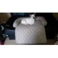 Sofa Buddy Pet Bed Furniture cover - size Large