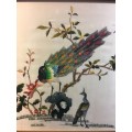 WOW !!!  A BEAUTIFUL VINTAGE  FRAMED CHINESE SILK EMBROIDERY OF A PEACOCK  WITH CALIGRAPHY