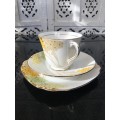 Stunning Vintage Royal Standard Fine China. "Valencia" Porcelain Tea Trio, Std Size.
