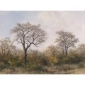 WOW !!! CYRIL PENNY LISTED SA ARTIST - FRAMED LANDSCAPE WATERCOLOR - READY TO HANG