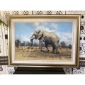 INVESTEMENT ART !!! NICO COETZEE (SA 20th CENTURY) GORGEOUS FRAMED OIL ON BOARD - ELEPHANT