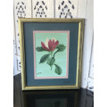 GORGEOUS FRAMED BOTANICAL OIL ON BOARD PAINTING SIGNED FRO