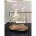 Large Rare Antique hand blown glass dome on a wooden base