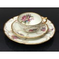 Rosenthal Selb-Germany Sanssouci Cup,Saucer and 20cm Plate.