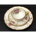 Rosenthal Selb-Germany Sanssouci Cup,Saucer and 20cm Plate.