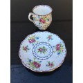 Rare Discontinued Royal Albert  Petite Point Cup and Saucer. Mint
