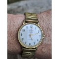 vintage men's rotary avenger