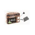 Ecco Rechargeable AM/FM Radio & USB/TF Music Player with Light Bulb