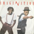 Vintage Vinyl / LP - Imagination - Instinctual