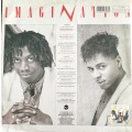 Vintage Vinyl / LP - Imagination - Instinctual