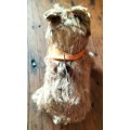 Antique wind-up toy dog (small)