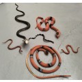 Collection of plastic toy snakes (x 6)