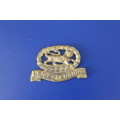 Leichesterhire Regiment Badge