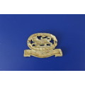 Leichesterhire Regiment Badge