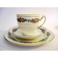 Vintage Royal Stafford English China Trio /Tea Cup Saucer Plate