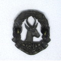 SA First Reserve Brigade Badge