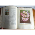 1940`s Our South African Flora Card Album. English and Afrikaans. 100 pages.
