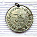 1919 : Cape Town Medal : In Commemoration of Peace after World War 1