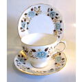Queen Anne Vintage Bone China Trio with Auturm Leaves. Spotless