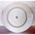 Vintage Bavaria Porcelain Hanging/Salad Plate. 210 mm diameter.