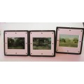 Vintage Agfachrome holder with 33 Color, Easy-Edit 35mm Photo Slides.