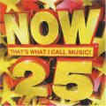 Various - Now That`s What I Call Music 25 (CD)