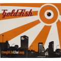 Goldfish - Caught In The Loop