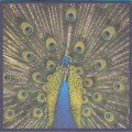 The Bluetones - Expecting To Fly (CD)
