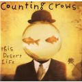 Counting Crows - This Desert Life (CD)