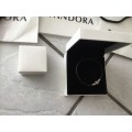 Pandora bracelet & 6 bags & two boxes