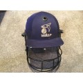 wasp players cricket helmet