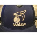 wasp players cricket helmet