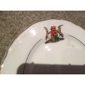 SADF two old pre 94  GOVERNMENT side plates