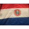 Republica del Paraguay flag