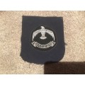 Air forces badge