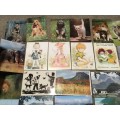 Vintage South Africa Postcards