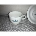 Vintage Springbok hotel cup & saucer