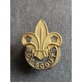 Boy Scouts Lapel Badge - as per photograph