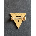 Southern Africa Y.W.C.A. Enamel Badge- as per photograph