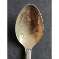 Sterling Silver Shooting Teaspoon 1954  13g - as per photograph